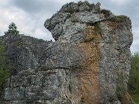 F, Lozere, Fraissinet-de-Fourques, Nimes-le-Vieux 31, Saxifraga-Willem van Kruijsbergen